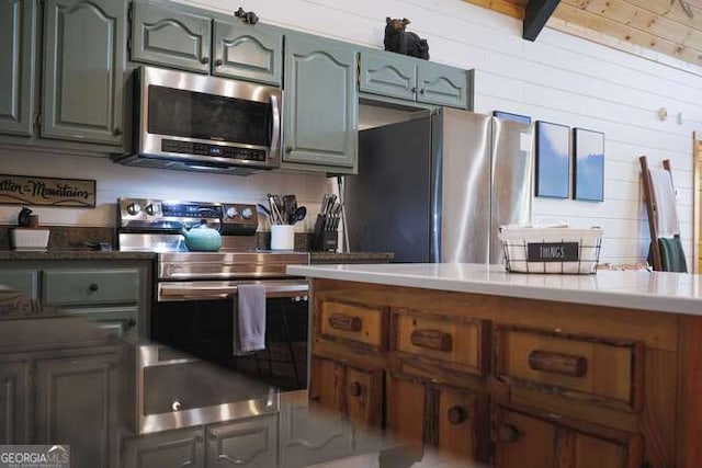 437 Spruce Cir Unit G, Mineral Bluff, GA 30559 - kitchen featuring stainless steel appliances and wood walls