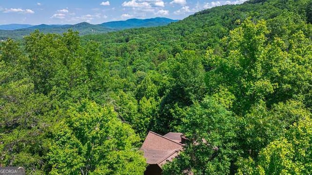437 Spruce Cir Unit G, Mineral Bluff, GA 30559 - view of mountain background featuring a heavily wooded area