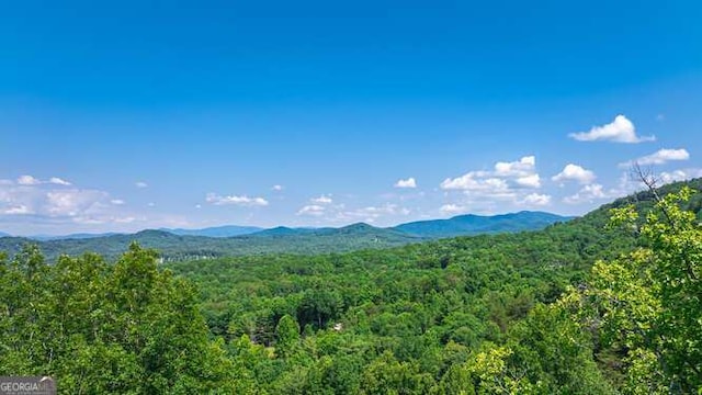 437 Spruce Cir Unit G, Mineral Bluff, GA 30559 - view of mountain backdrop with a forest