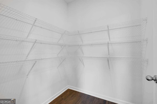 170 Aster Ave, Locust Grove, GA 30248 - walk in closet with dark wood-style floors