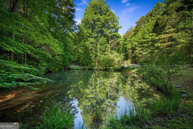 744 Dover Falls Trl, Ellijay, GA 30540 - water view featuring a forest