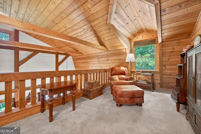 744 Dover Falls Trl, Ellijay, GA 30540 - living area featuring carpet, wood ceiling, and wooden walls
