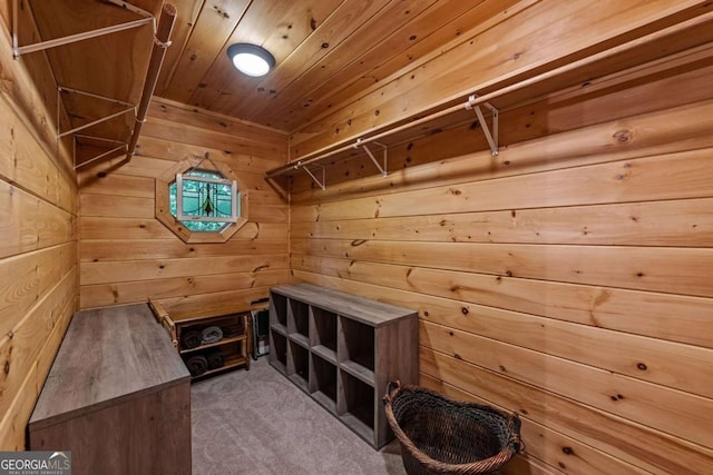 744 Dover Falls Trl, Ellijay, GA 30540 - spacious closet featuring carpet floors