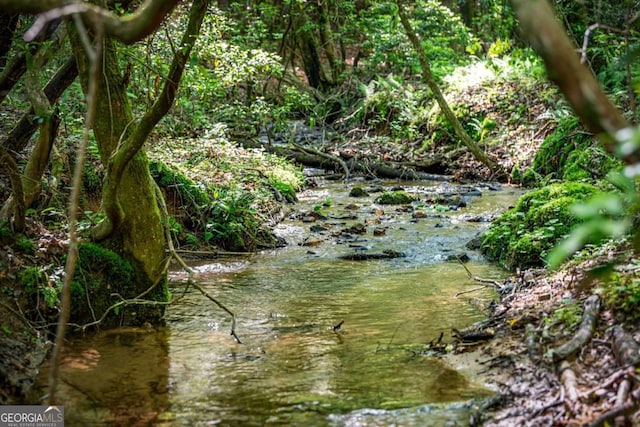 744 Dover Falls Trl, Ellijay, GA 30540 - view of undeveloped land