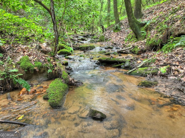 744 Dover Falls Trl, Ellijay, GA 30540 - view of local wilderness