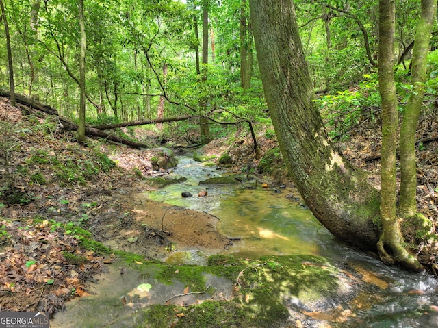 744 Dover Falls Trl, Ellijay, GA 30540 - view of wooded area