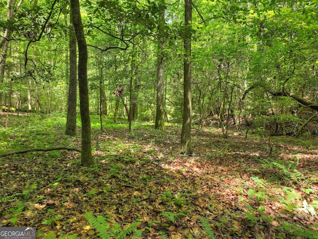 744 Dover Falls Trl, Ellijay, GA 30540 - view of wooded area