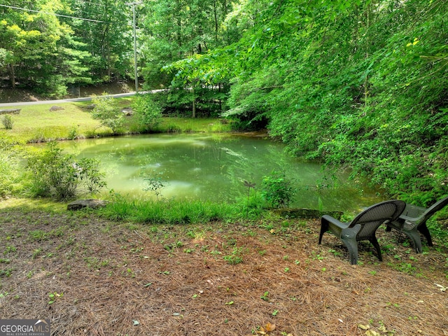 744 Dover Falls Trl, Ellijay, GA 30540 - view of yard with a water view