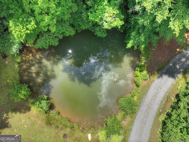 744 Dover Falls Trl, Ellijay, GA 30540 - bird's eye view of a large body of water