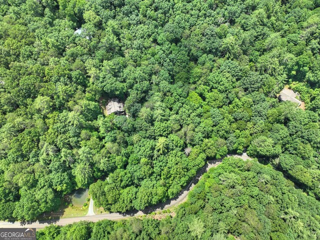 744 Dover Falls Trl, Ellijay, GA 30540 - aerial view of property's location featuring a forest