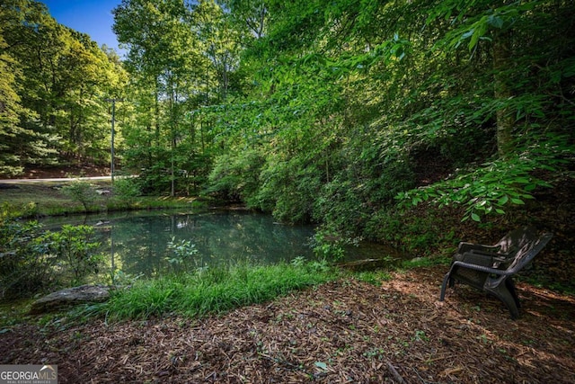 744 Dover Falls Trl, Ellijay, GA 30540 - view of yard with a view of trees