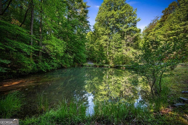 744 Dover Falls Trl, Ellijay, GA 30540 - water view featuring a heavily wooded area