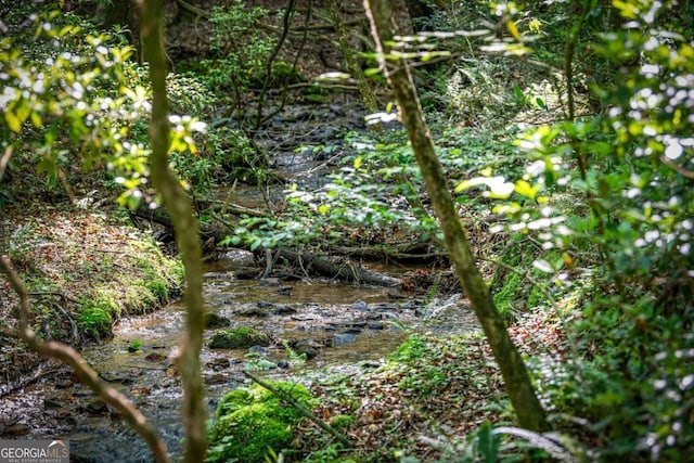 744 Dover Falls Trl, Ellijay, GA 30540 - view of undeveloped land