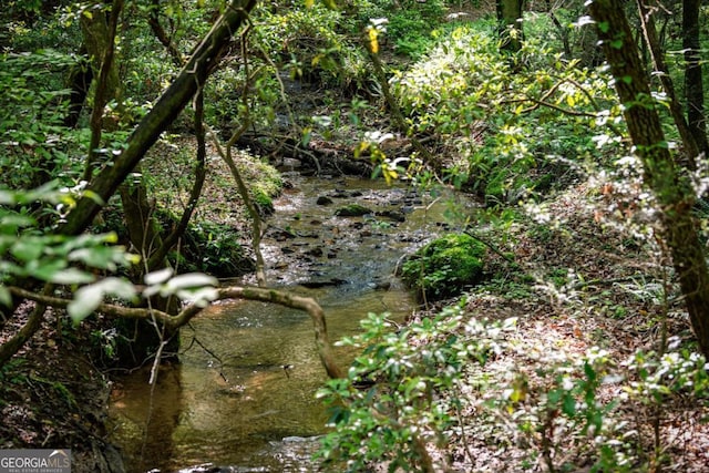 744 Dover Falls Trl, Ellijay, GA 30540 - view of undeveloped land