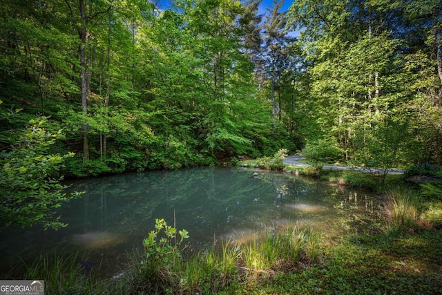 744 Dover Falls Trl, Ellijay, GA 30540 - water view featuring a forest