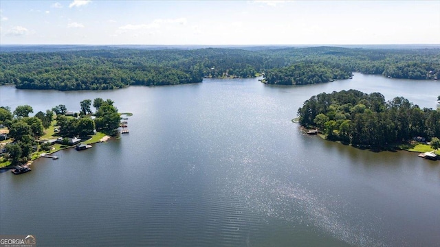 165 Forest Hill Dr, Eatonton, GA 31024 - drone / aerial view of a heavily wooded area and a nearby body of water
