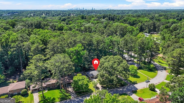 3337 Toney Dr, Decatur, GA 30032 - view of property location with a forest