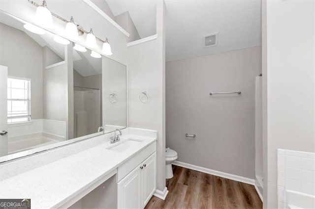 11827 Spring Lake Way, Fayetteville, GA 30215 - full bath featuring a bath, vanity, toilet, wood finished floors, and lofted ceiling