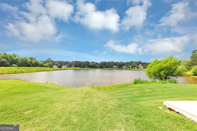 11827 Spring Lake Way, Fayetteville, GA 30215 - water view