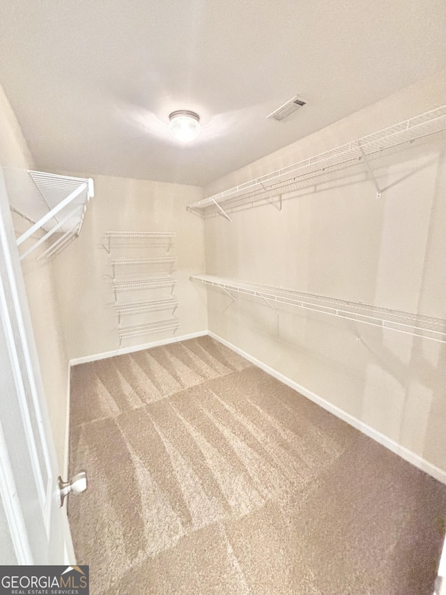 759 Hennepin Ter, Mcdonough, GA 30253 - walk in closet with carpet flooring
