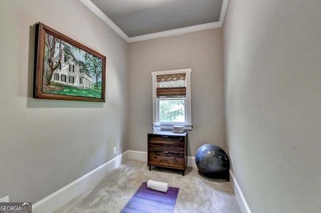 3715 Horizon Ct, Cumming, GA 30041 - exercise room with ornamental molding and carpet floors