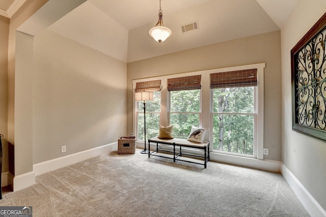 3715 Horizon Ct, Cumming, GA 30041 - home office with carpet and baseboards