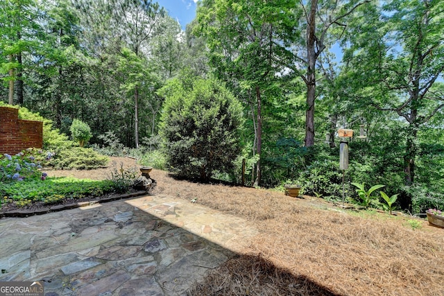 3715 Horizon Ct, Cumming, GA 30041 - view of yard with a patio area