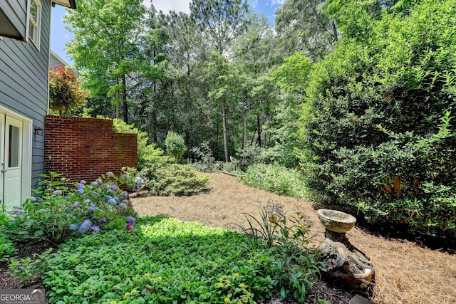 3715 Horizon Ct, Cumming, GA 30041 - view of yard