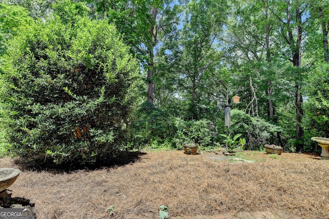 3715 Horizon Ct, Cumming, GA 30041 - view of yard