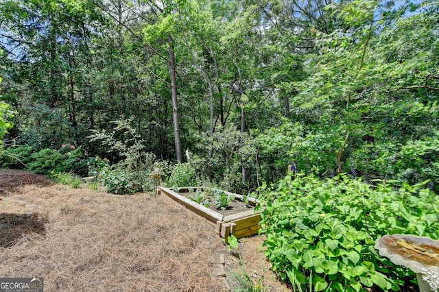 3715 Horizon Ct, Cumming, GA 30041 - view of yard featuring a garden