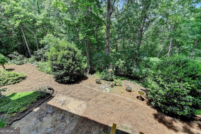 3715 Horizon Ct, Cumming, GA 30041 - view of yard