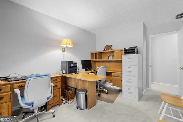 1850 Linnet Ct NE, Roswell, GA 30075 - office with light carpet, a textured ceiling, and baseboards