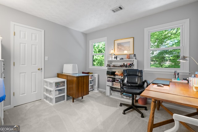 1850 Linnet Ct NE, Roswell, GA 30075 - home office with light carpet, a textured ceiling, and baseboards