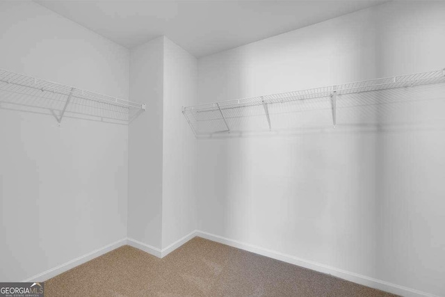 173 Aster Ave, Locust Grove, GA 30248 - walk in closet with carpet flooring