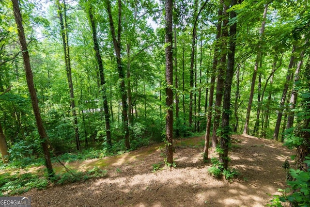 3835 Clubhouse Cir, Gainesville, GA 30501 - view of wooded area