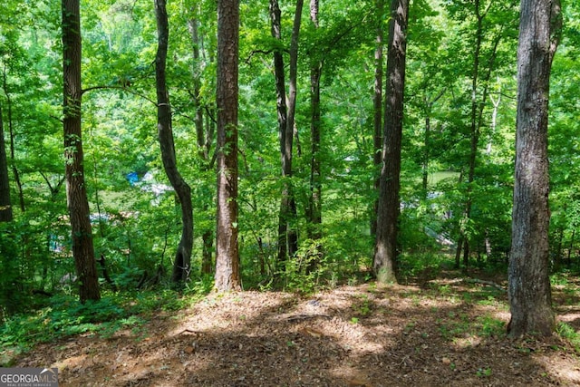 3835 Clubhouse Cir, Gainesville, GA 30501 - view of tree filled area