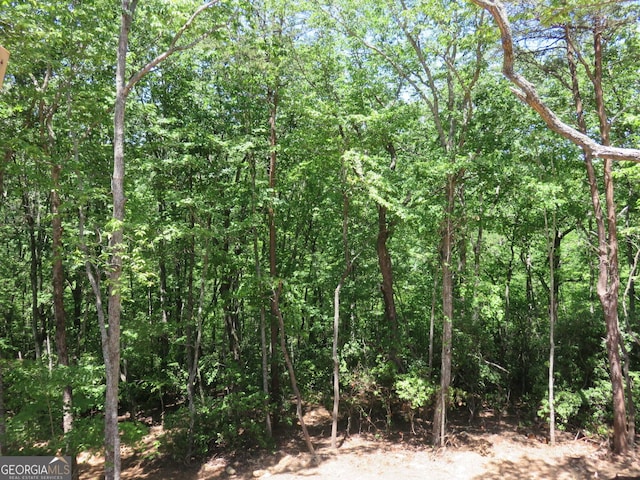 148 Chimney Rdg, Cleveland, GA 30528 - view of wooded area