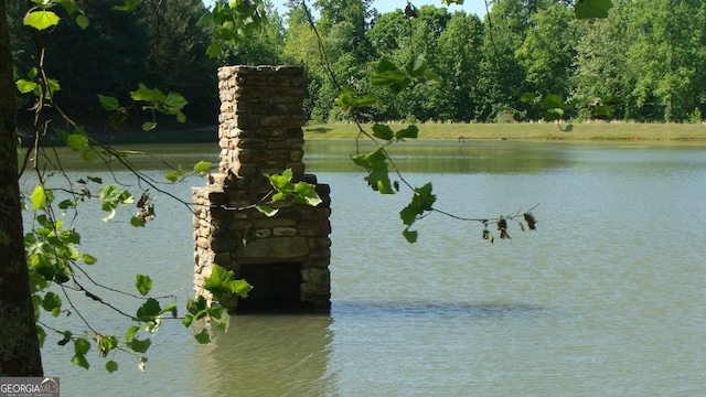 148 Chimney Rdg, Cleveland, GA 30528 - water view