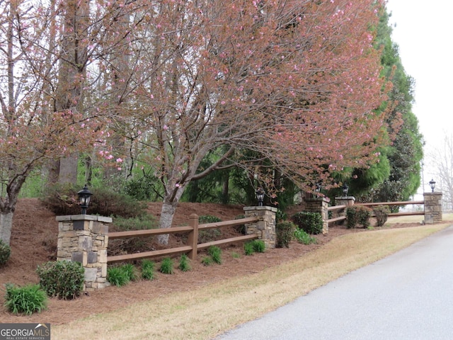 148 Chimney Rdg, Cleveland, GA 30528 - view of road featuring street lights