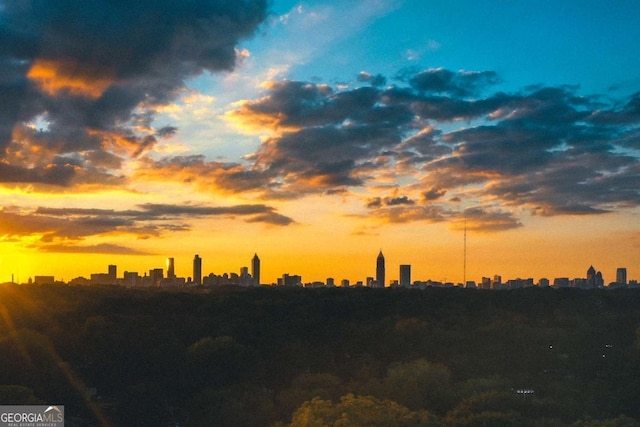 936 Ormewood Ter SE, Atlanta, GA 30316 - nature at dusk featuring a skyline view