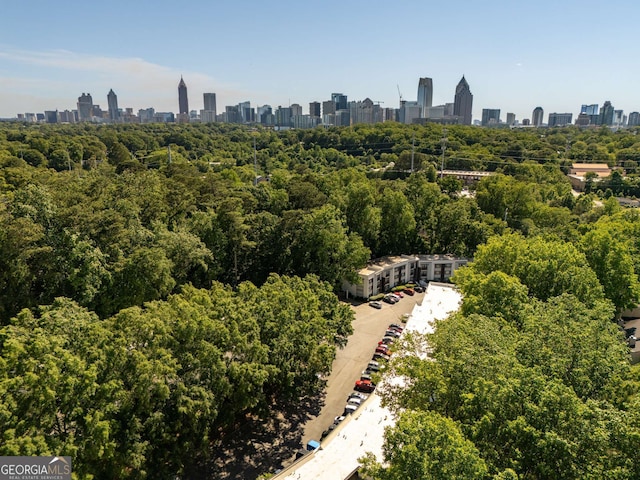 1445 Monroe Dr NE Unit C13, Atlanta, GA 30324 - aerial view of skyline