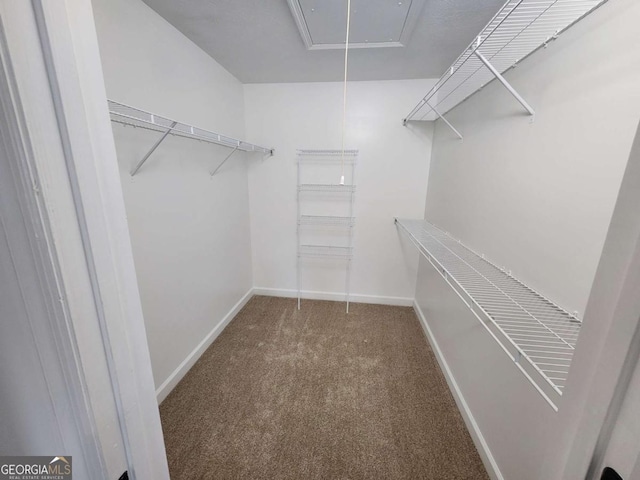 206 York Way, Augusta, GA 30909 - spacious closet featuring attic access and carpet floors