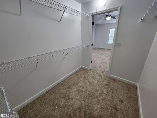 206 York Way, Augusta, GA 30909 - spacious closet featuring carpet flooring