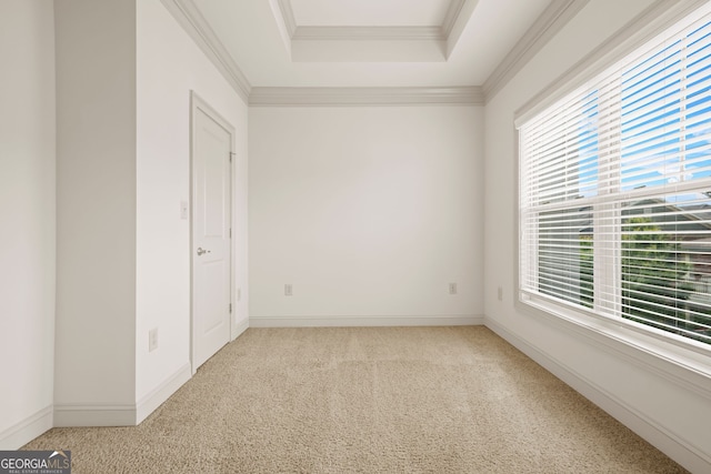 1199 Lavista Rd NE, Atlanta, GA 30324 - unfurnished bedroom featuring multiple windows, carpet flooring, a raised ceiling, baseboards, and ornamental molding