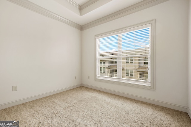 1199 Lavista Rd NE, Atlanta, GA 30324 - carpeted empty room featuring ornamental molding, baseboards, and a raised ceiling