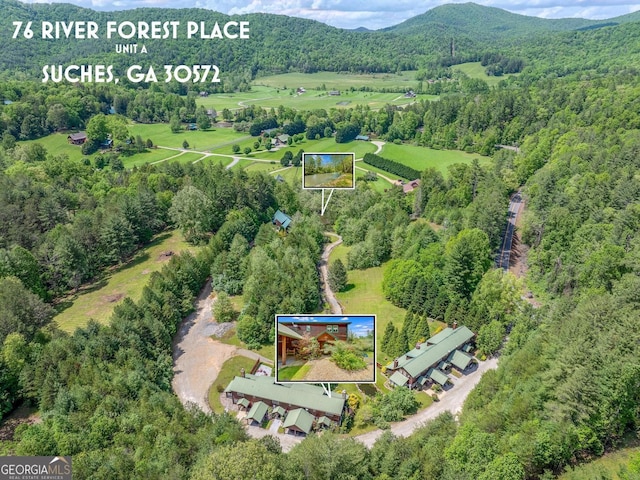 76 River Forest Pl Unit D, Suches, GA 30572 - aerial view of property's location with property boundaries highlighted, a forest, and a mountain backdrop