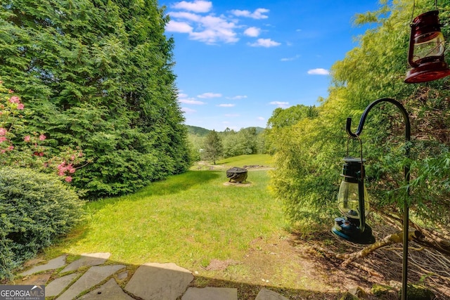 76 River Forest Pl Unit D, Suches, GA 30572 - view of green lawn