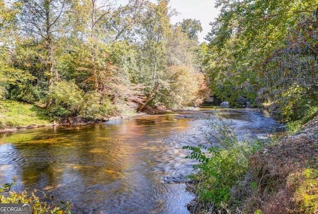 76 River Forest Pl Unit D, Suches, GA 30572 - water view with a heavily wooded area