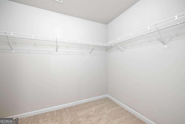 609 Lobelia Way, Locust Grove, GA 30248 - spacious closet with carpet floors