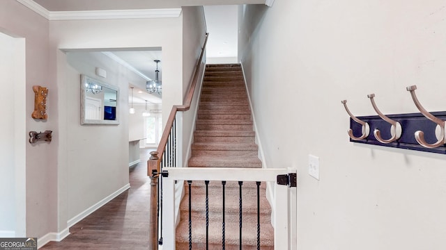 162 Cool Creek Ct, Dallas, GA 30132 - stairway with crown molding, wood finished floors, and baseboards